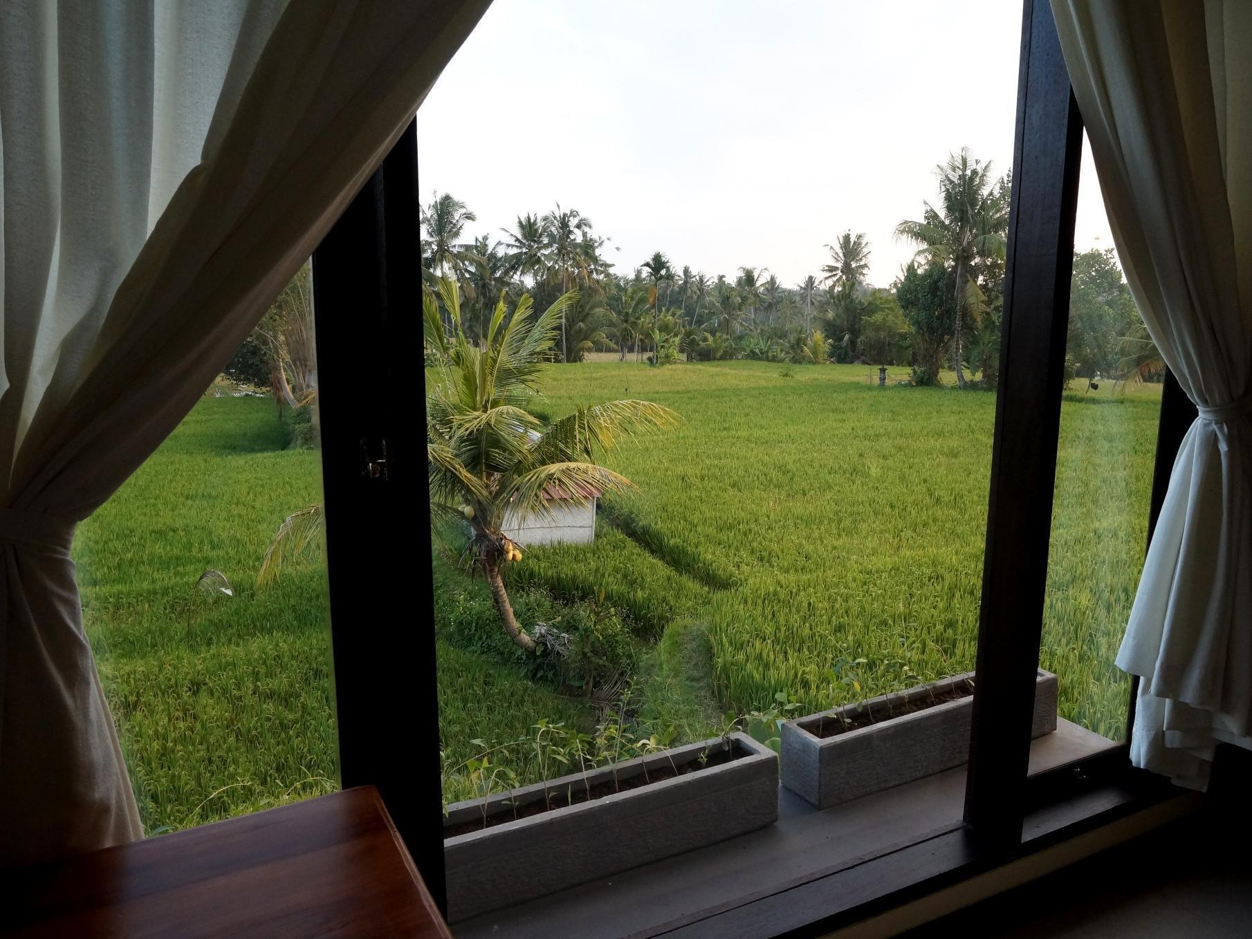 Bisma Cottages Ubud Kültér fotó