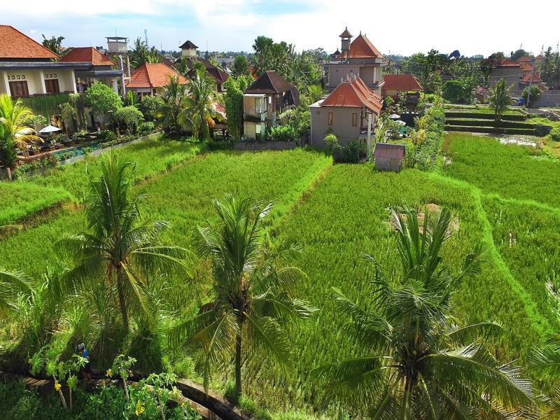 Bisma Cottages Ubud Kültér fotó