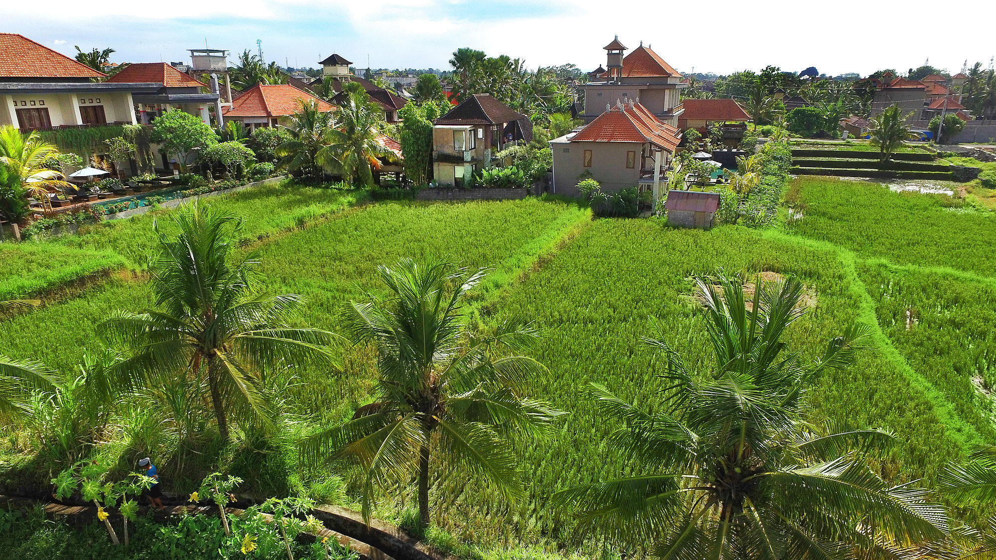 Bisma Cottages Ubud Kültér fotó