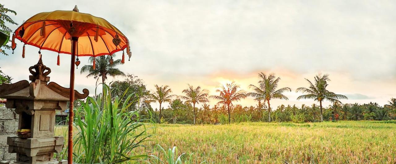 Bisma Cottages Ubud Kültér fotó